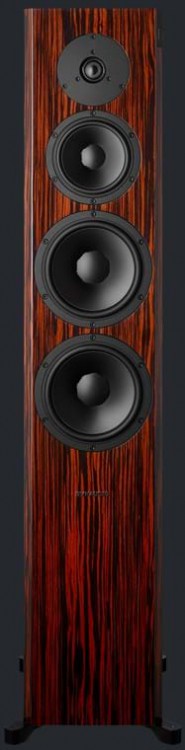 Беспроводная активная акустическая система Dynaudio FOCUS 60 XD Беспроводная активная акустическая система Dynaudio FOCUS 60 XD