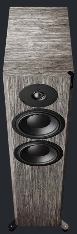 Напольная АС Dynaudio FOCUS 30 XD Напольная АС Dynaudio FOCUS 30 XD
